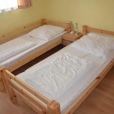 Tulpe * 치노비츠